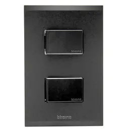 Apagador Doble Brushed Metal Negro