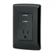 Contacto Aterrizado + 2 Puertos Usb, Negro, Lnea Italiana